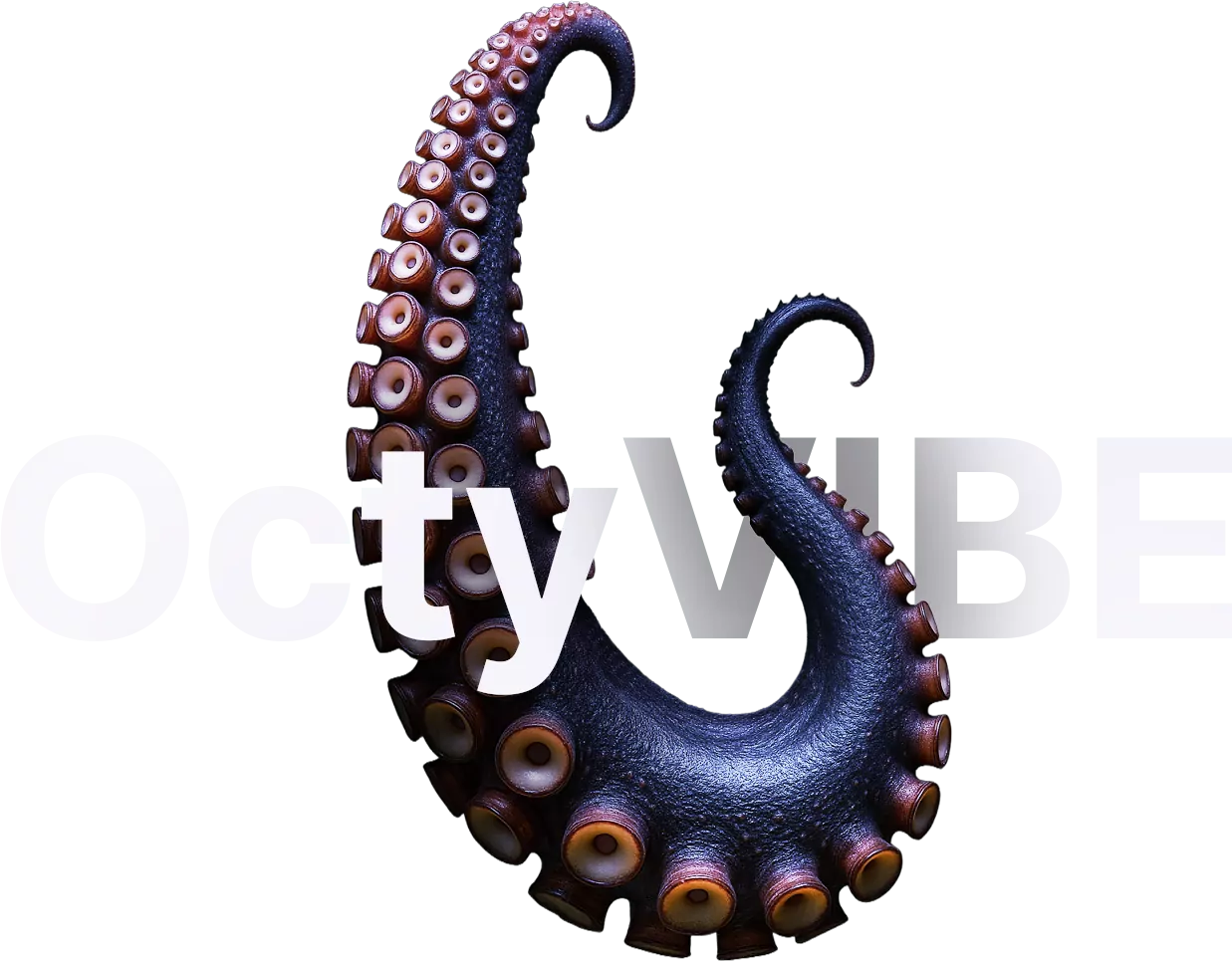 OctyVIBE Logo, Web Design, Branding and Vibe Coding